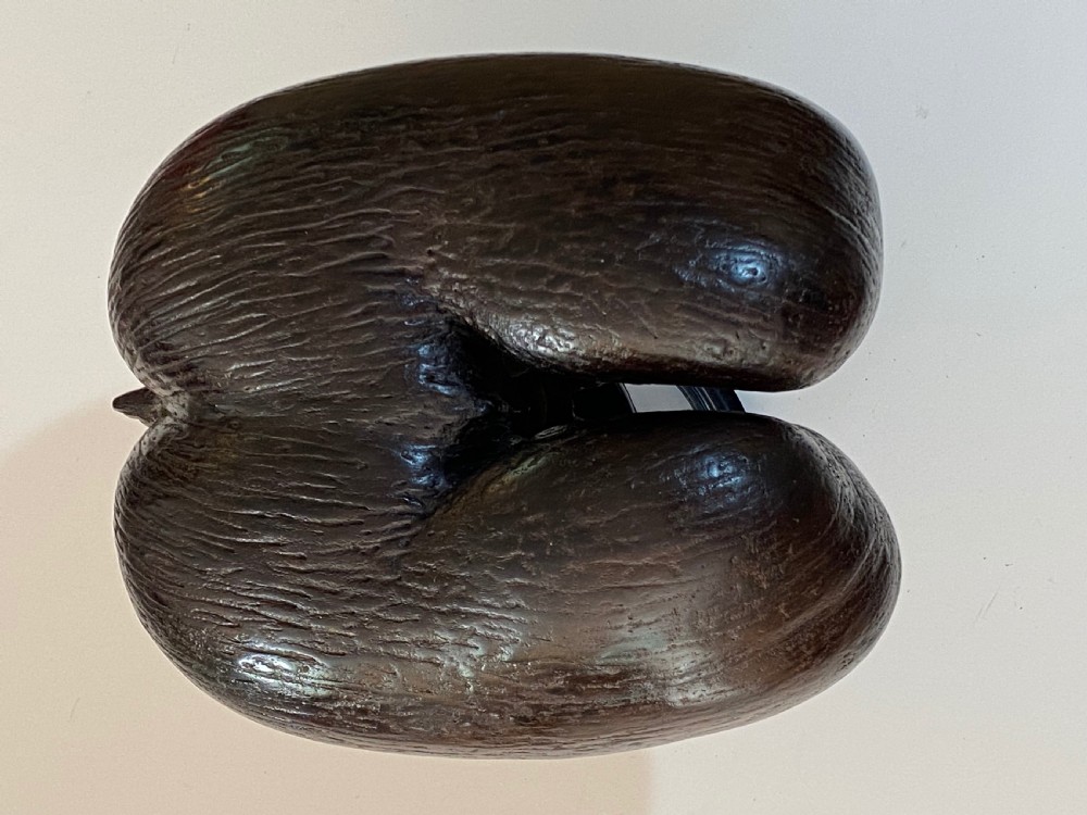 Coco de Mer Palm Nut View IV