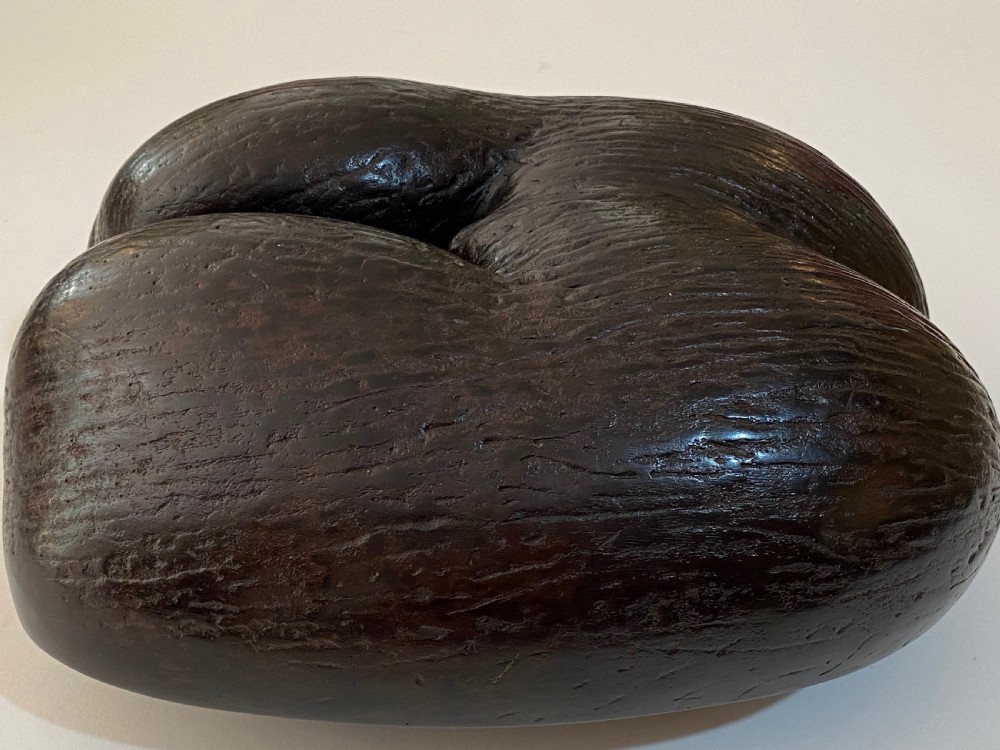 Coco de Mer Palm Nut View VI