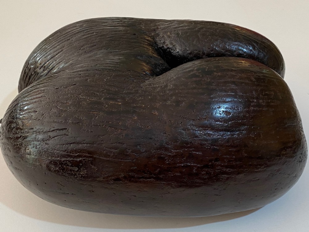 Coco de Mer Palm Nut View VIII