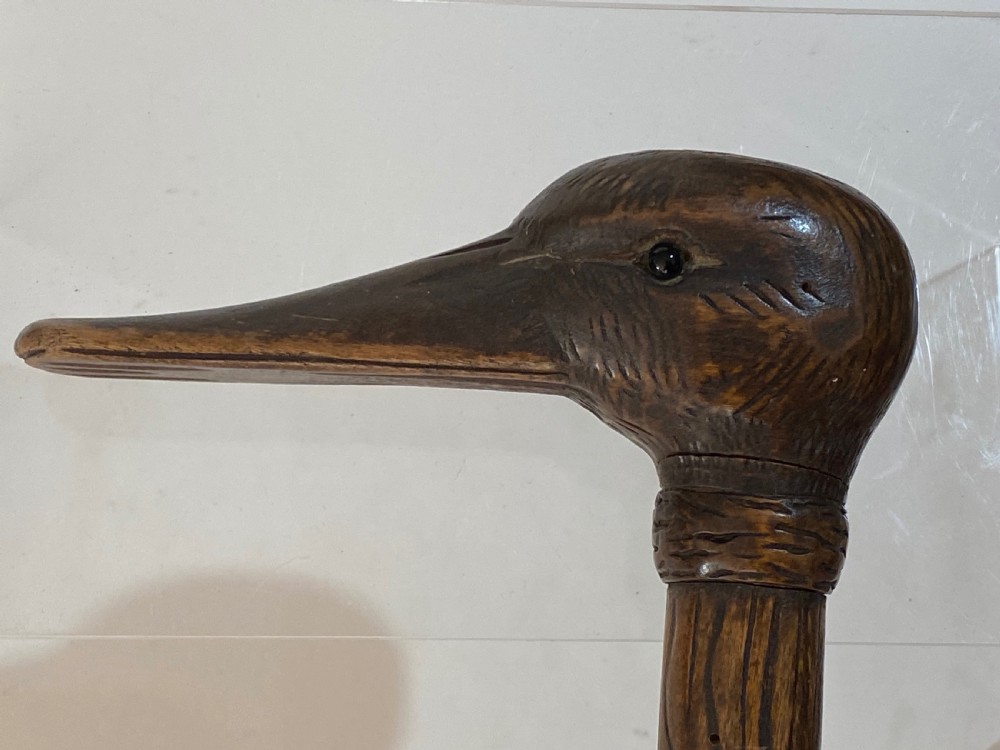Walking Stick with Duck Head View IV