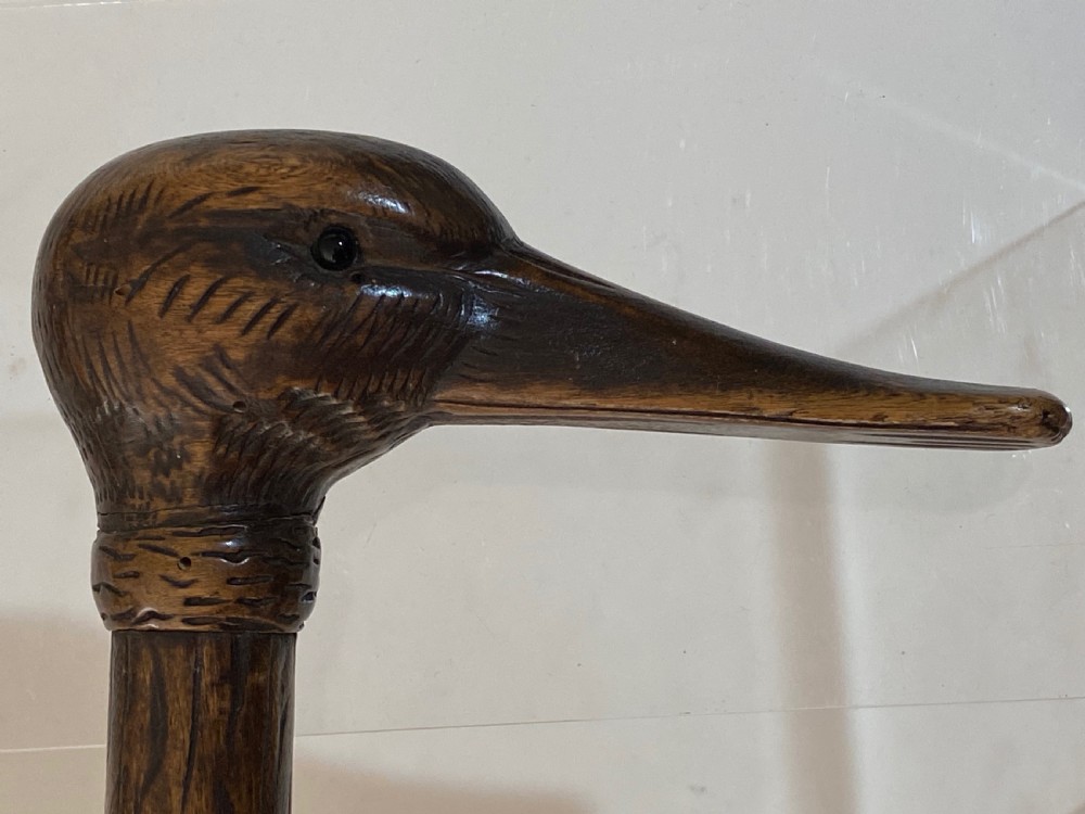 Walking Stick with Duck Head View V