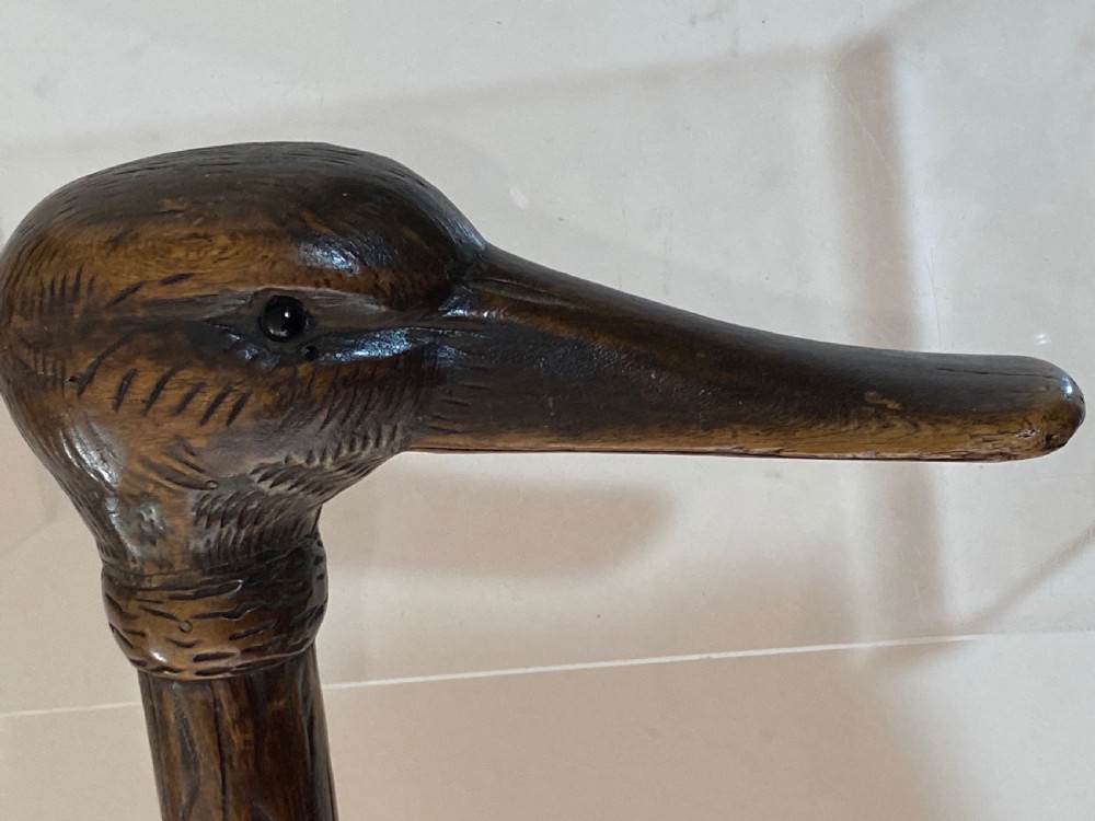 Walking Stick with Duck Head View VI