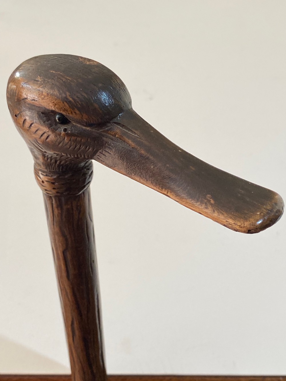 Walking Stick with Duck Head View VIII