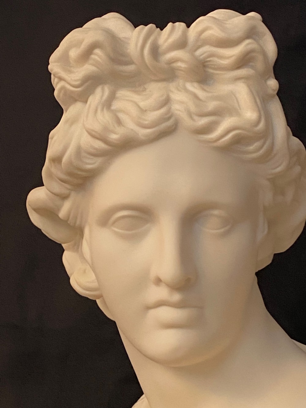 Parian Bust of Apollo Belvadere View IV