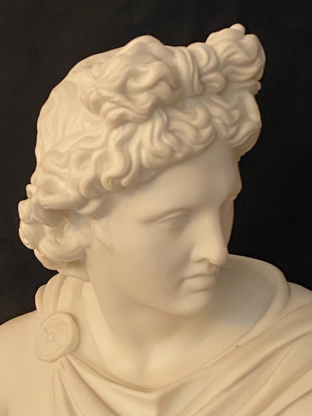 Parian Bust of Apollo Belvadere View VI