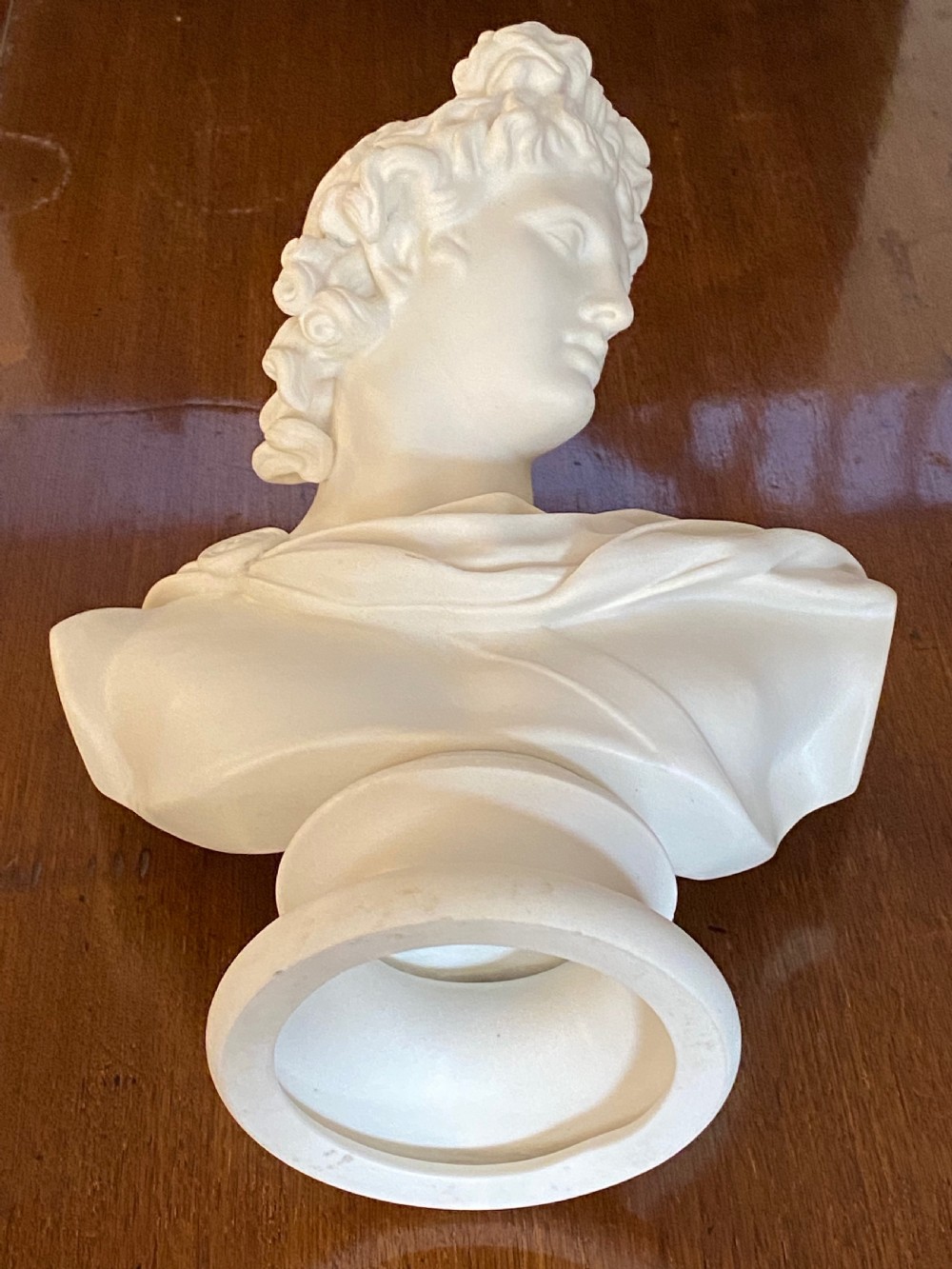 Parian Bust of Apollo Belvadere View VIII