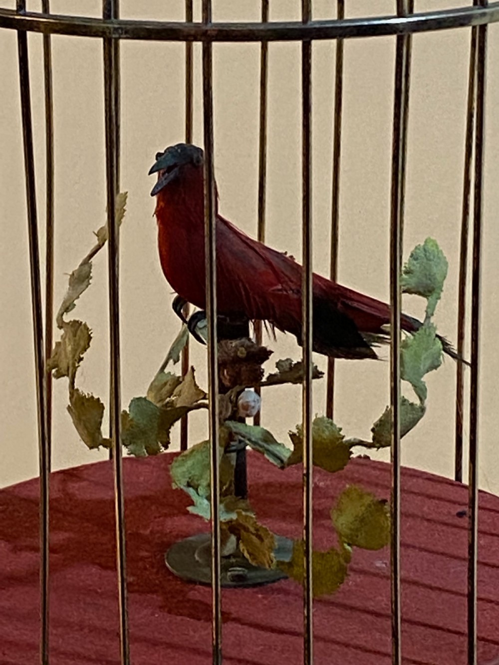 French Singing Bird Automaton in a Brass Cage View IV