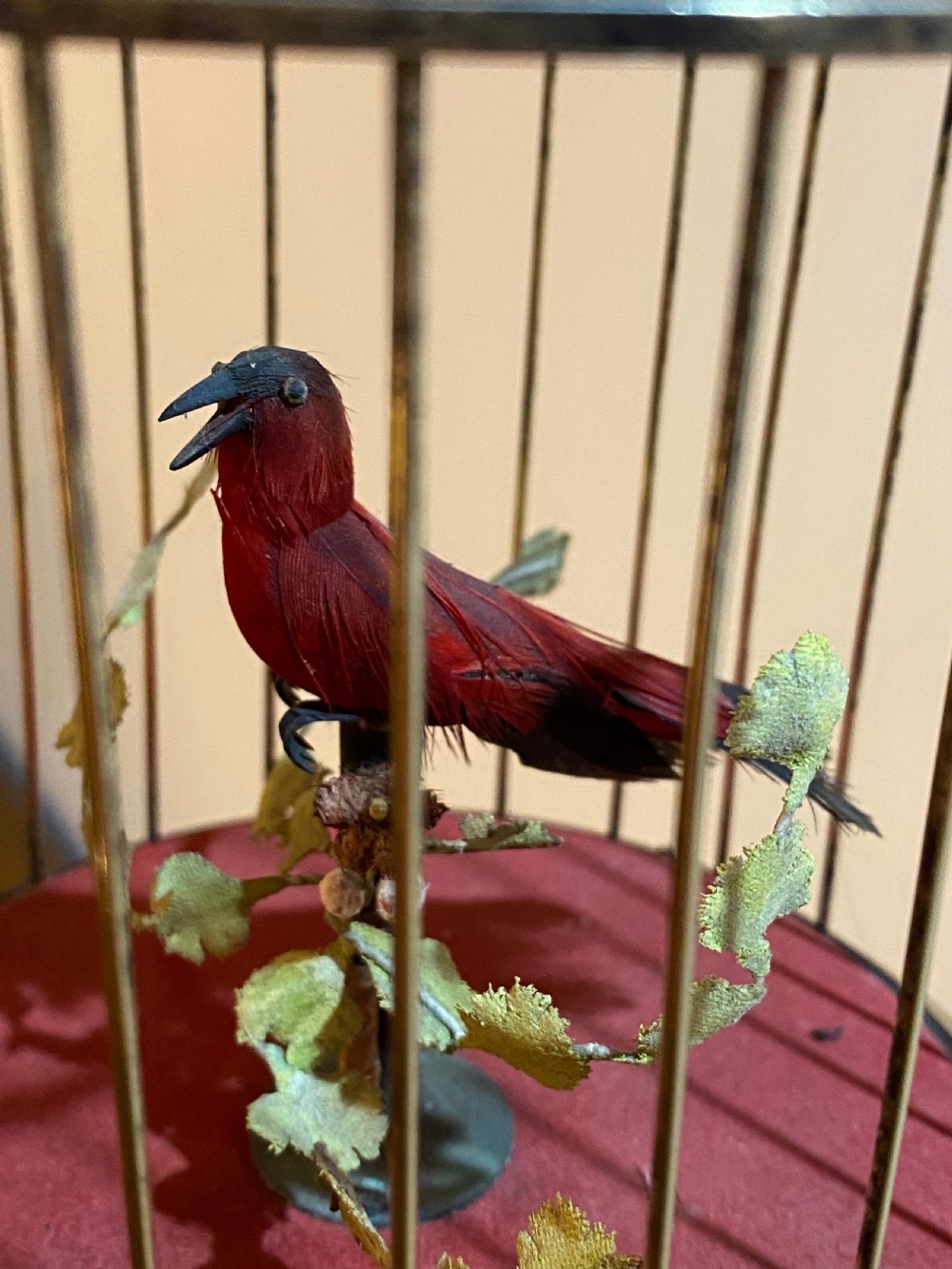 French Singing Bird Automaton in a Brass Cage View V
