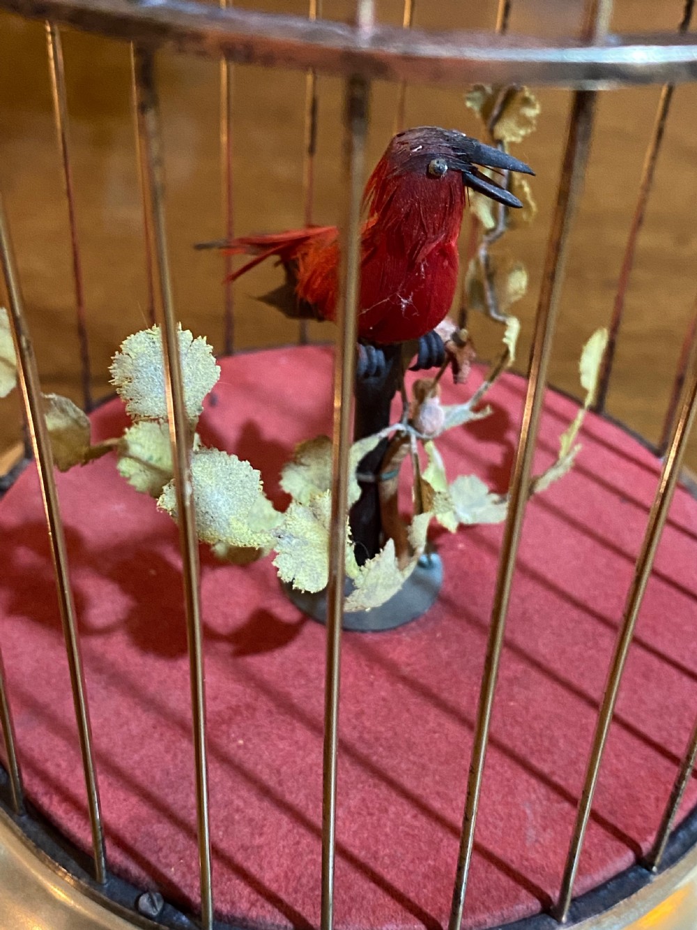 French Singing Bird Automaton in a Brass Cage View VI