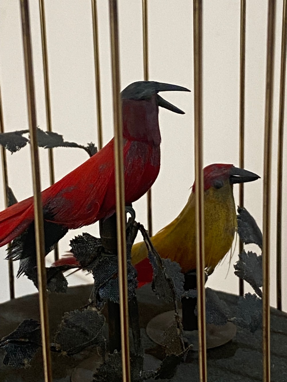 French Singing Birds in Cage  Automaton View V