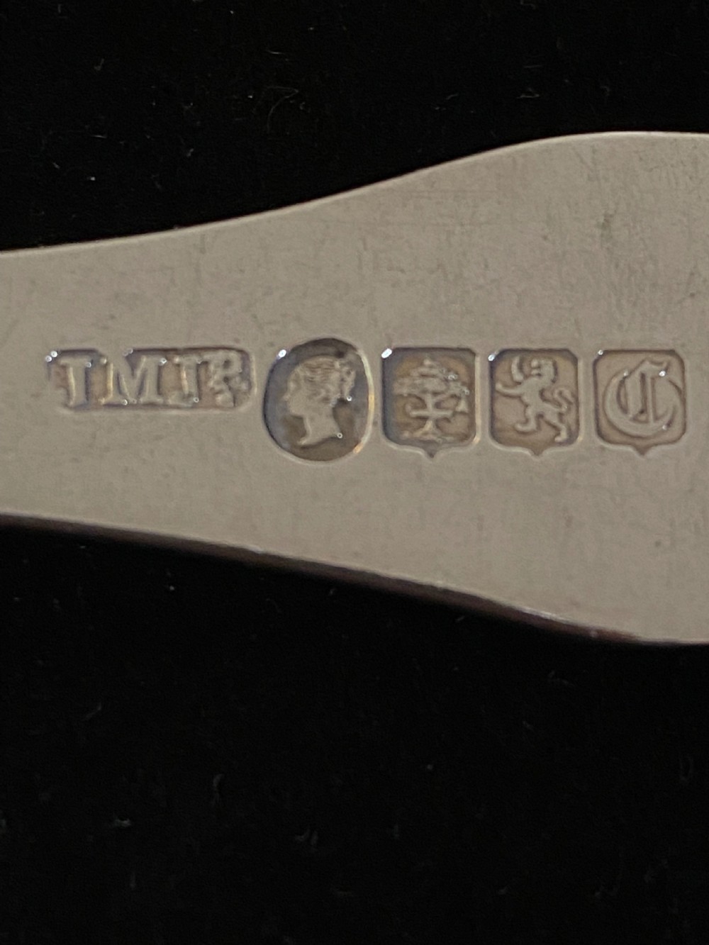 Pair of Scottish Silver Serving Spoons Glasgow 1847  View VI