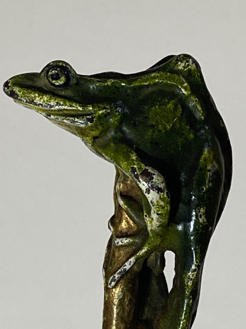 Franz Bergman Cold Painted Bronze View V