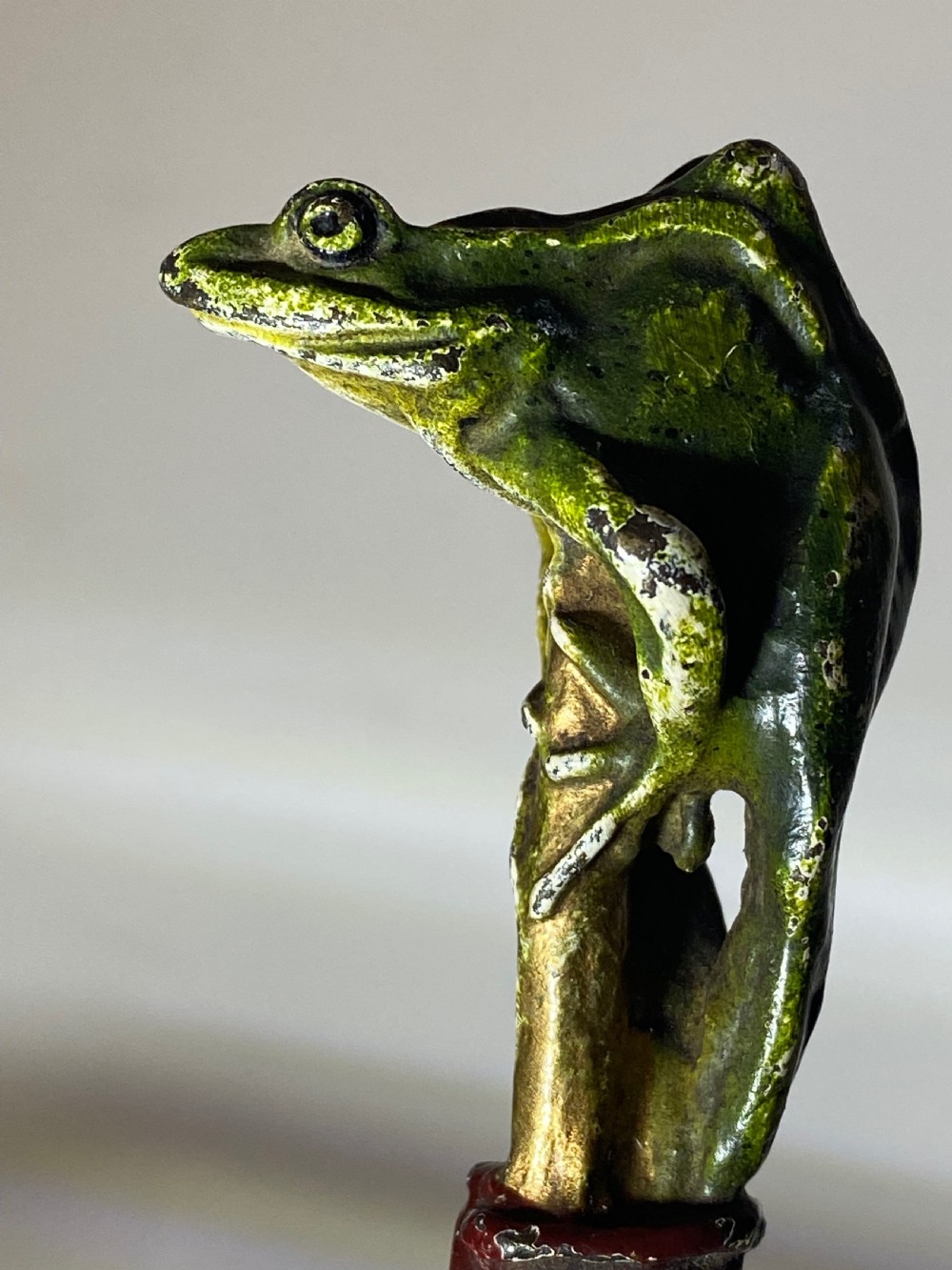 Franz Bergman Cold Painted Bronze View VI