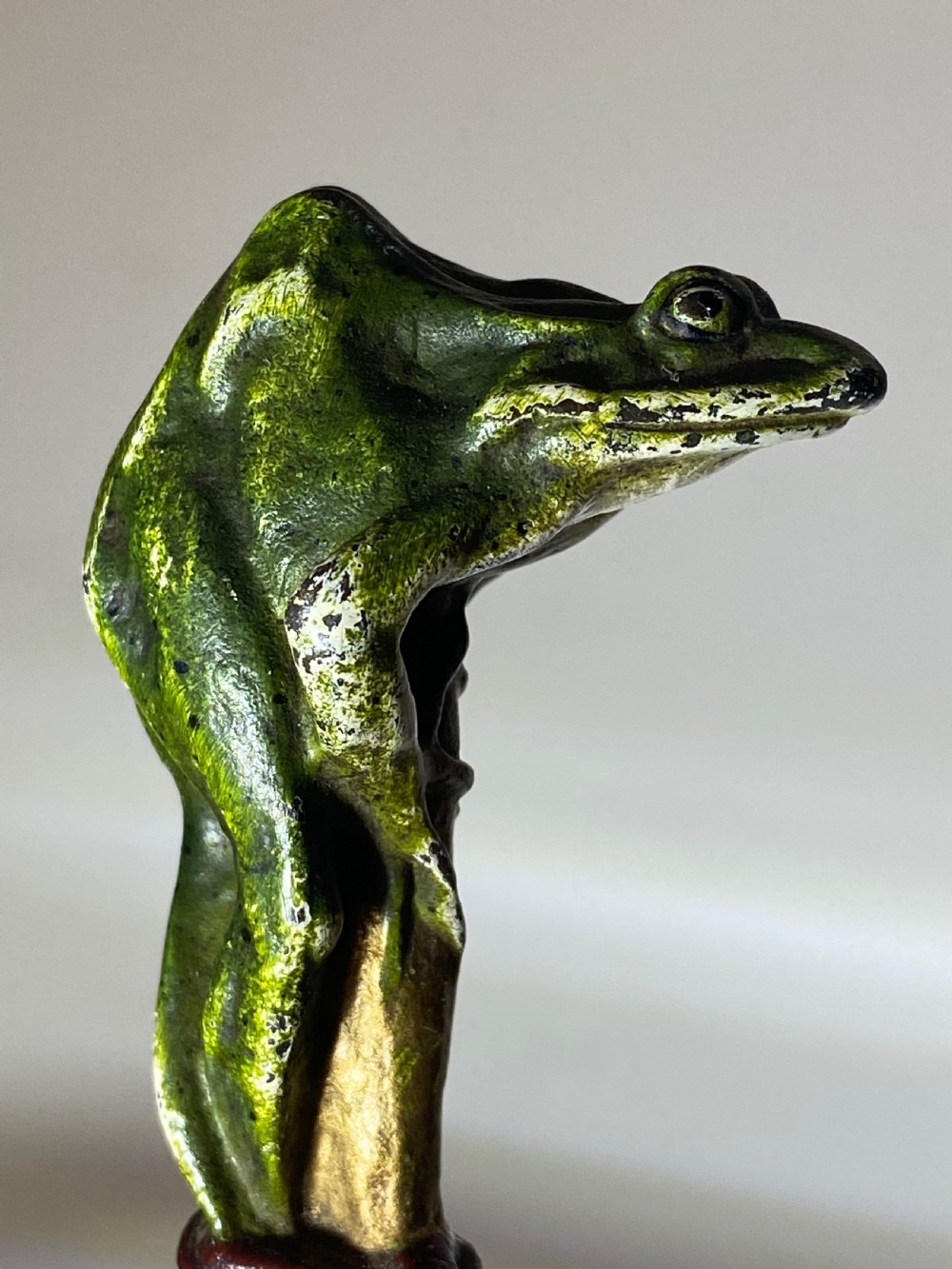 Franz Bergman Cold Painted Bronze View VII