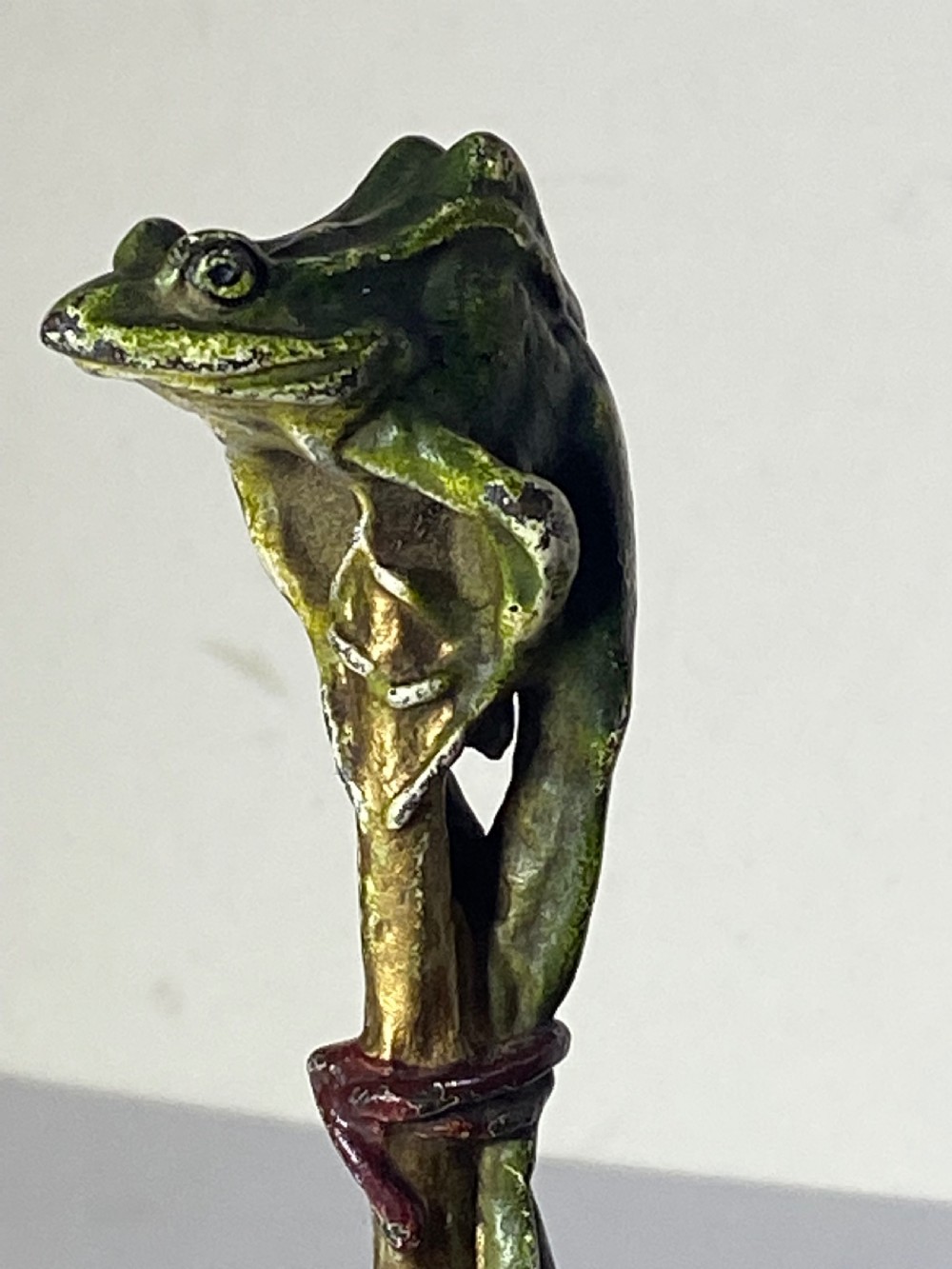 Franz Bergman Cold Painted Bronze View X