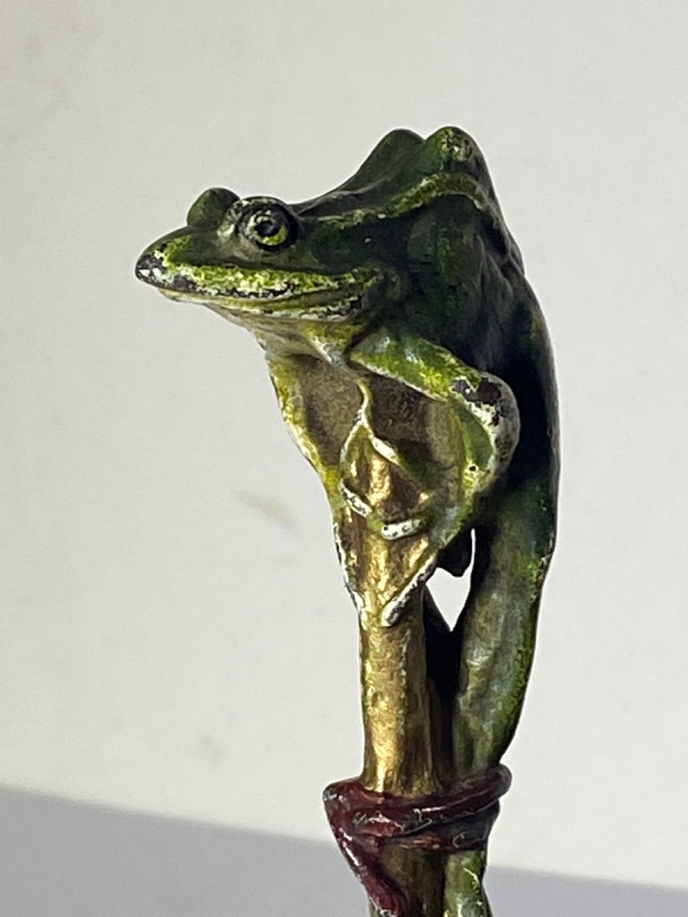 Franz Bergman Cold Painted Bronze View XI