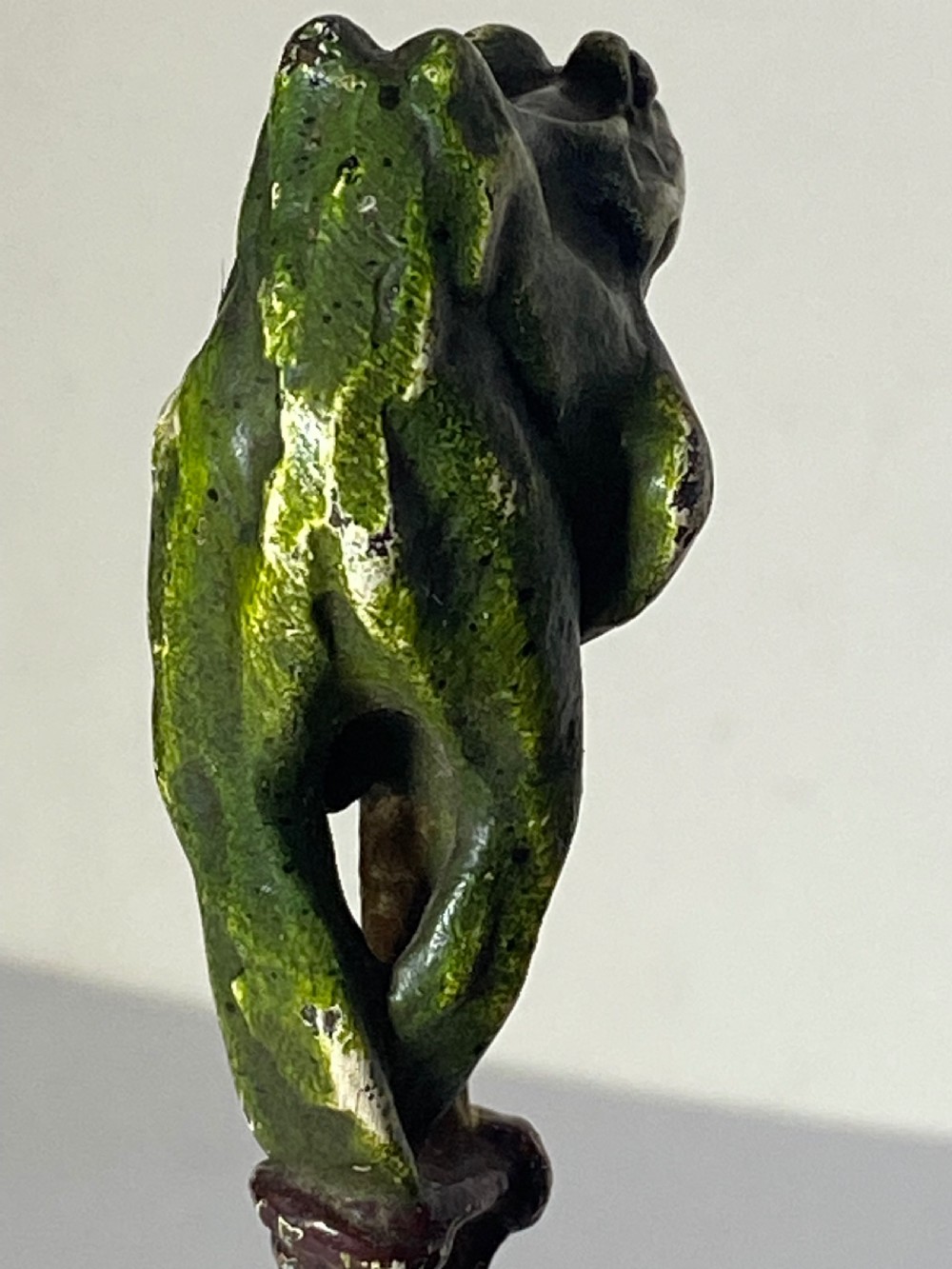 Franz Bergman Cold Painted Bronze View XII