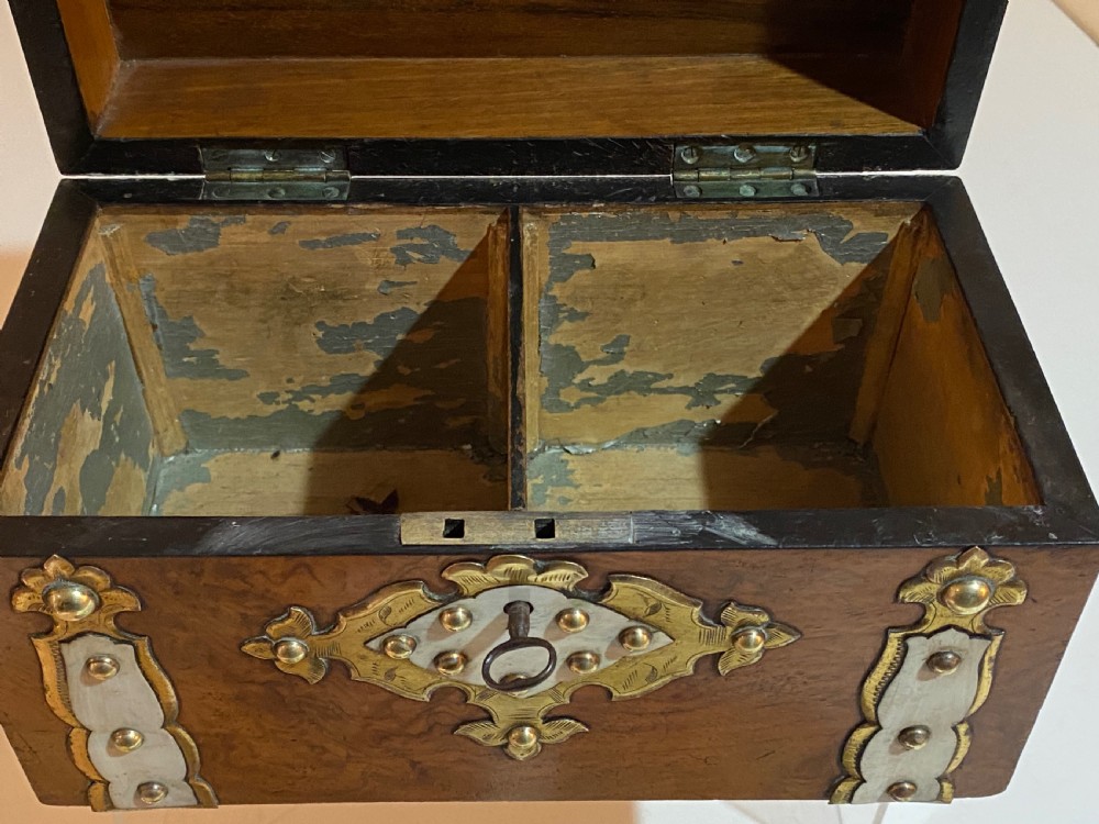 Burr Walnut Tea Caddy View IX