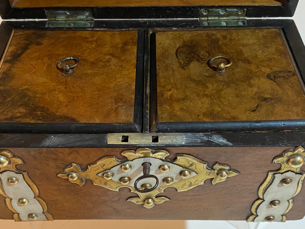 Burr Walnut Tea Caddy View X