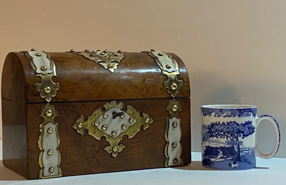 Burr Walnut Tea Caddy View XIII