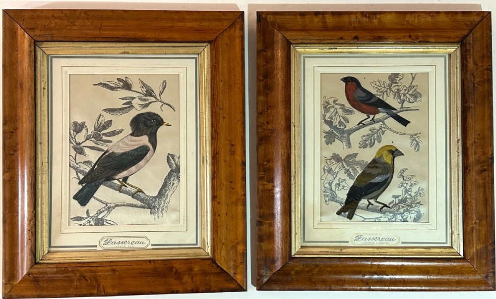 Pair of French Bird Pictures on Silk