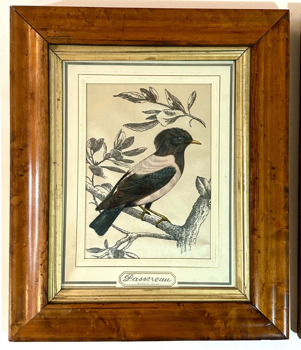 Pair of French Bird Pictures on Silk View II