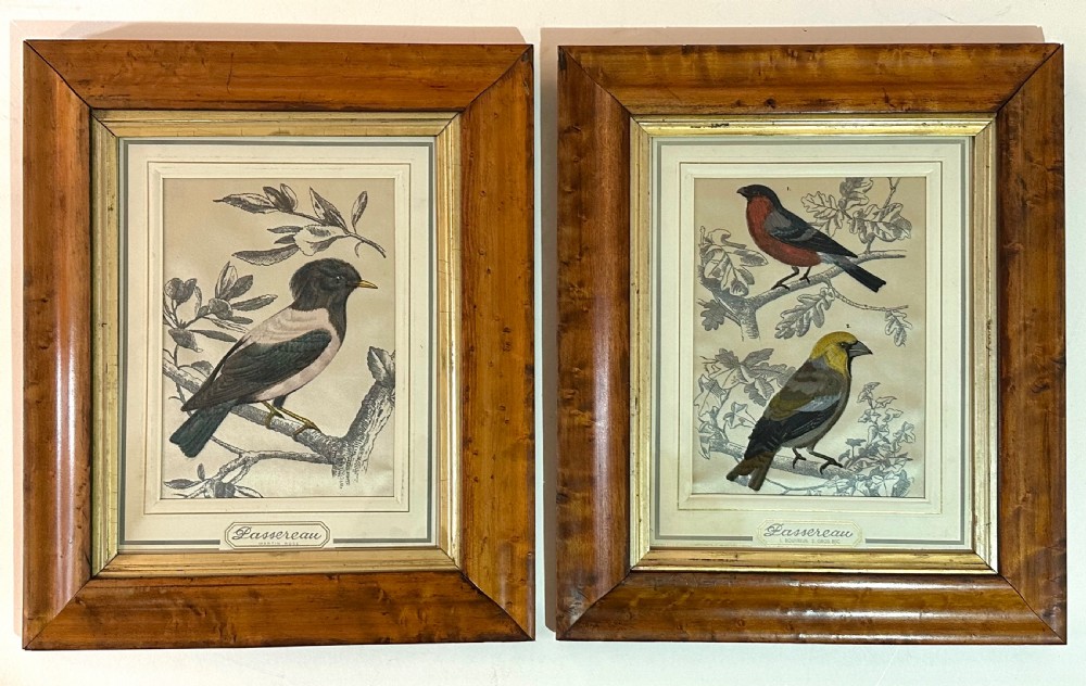 Pair of French Bird Pictures on Silk View III