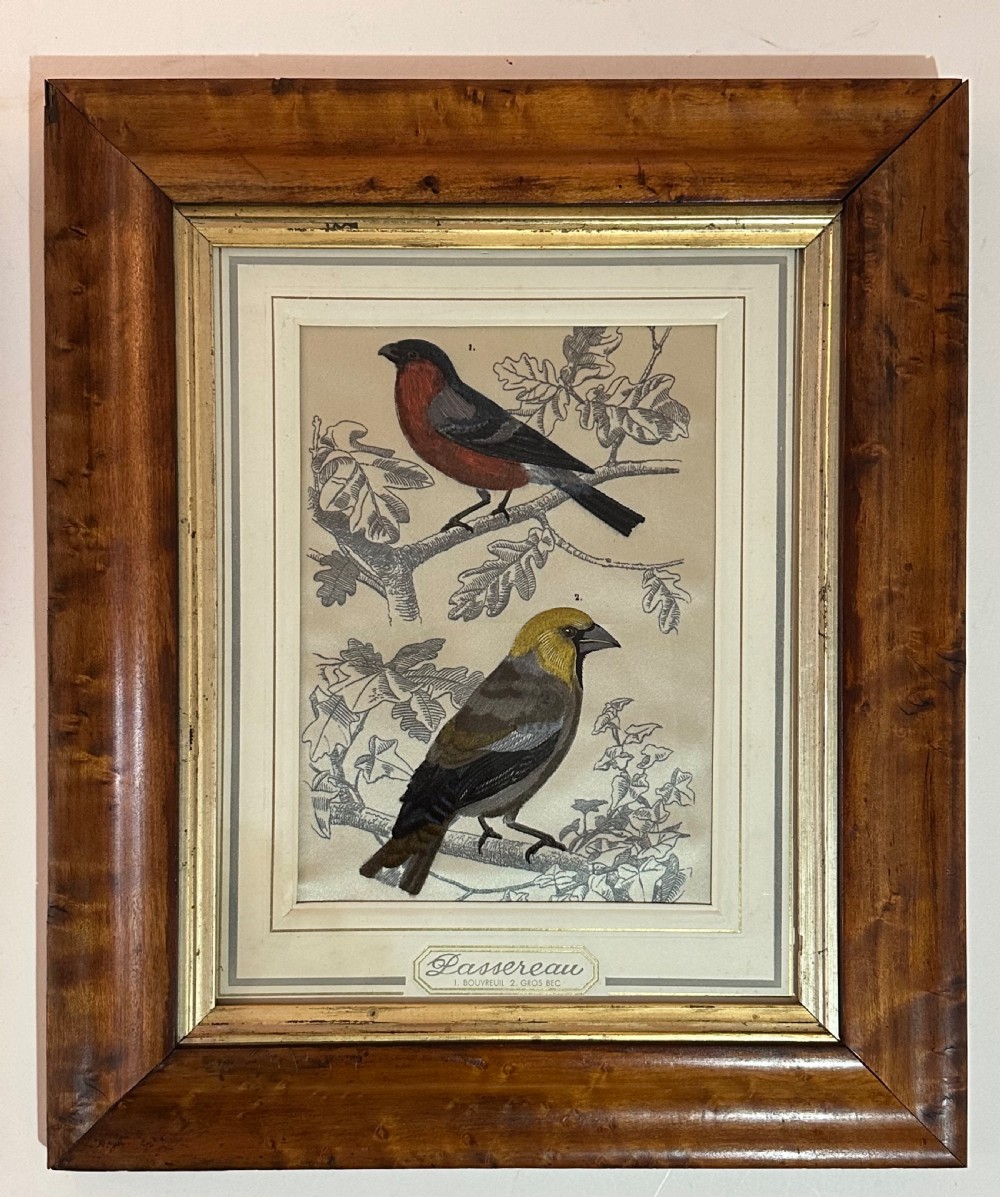 Pair of French Bird Pictures on Silk View IV