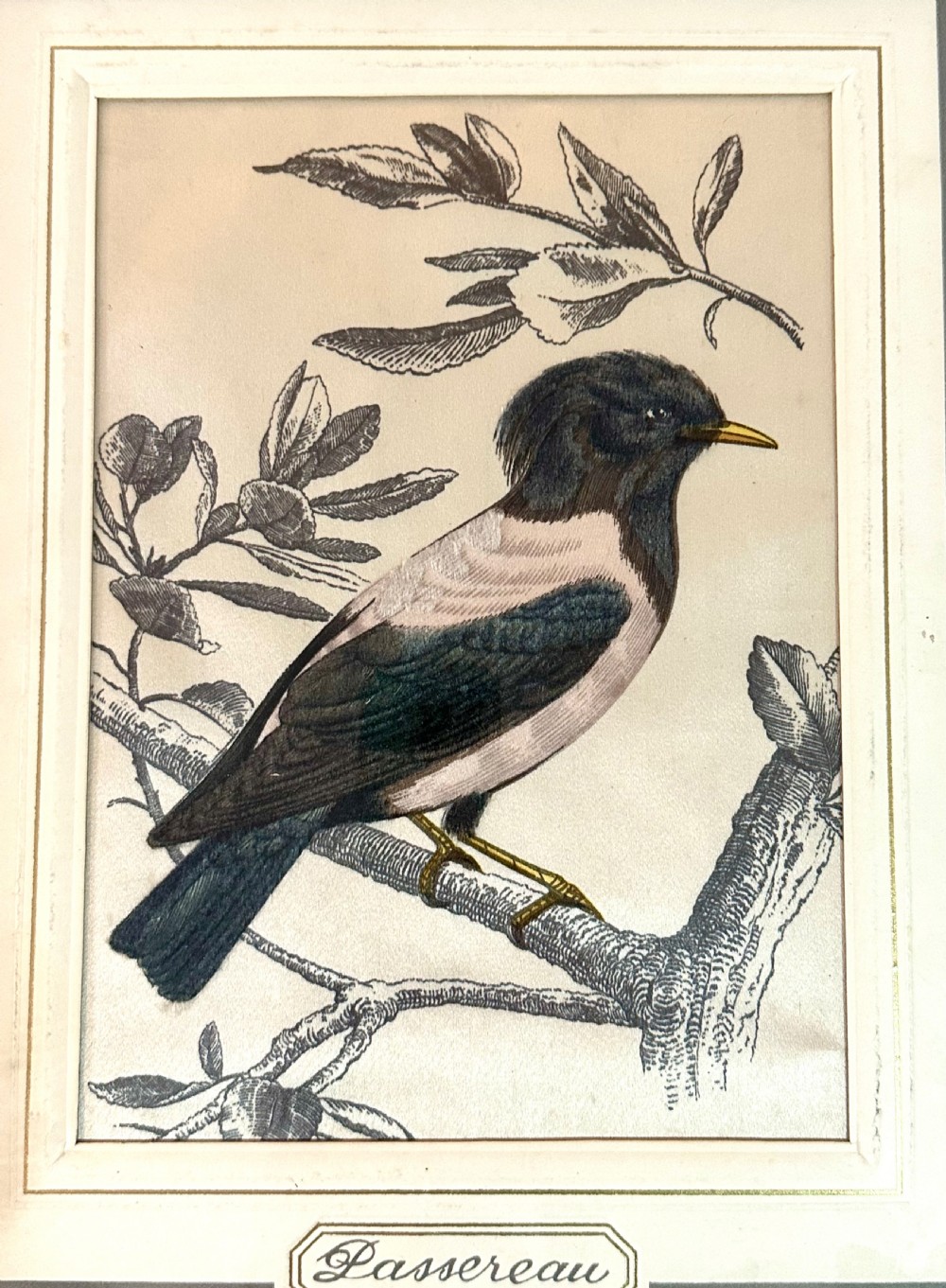 Pair of French Bird Pictures on Silk View V