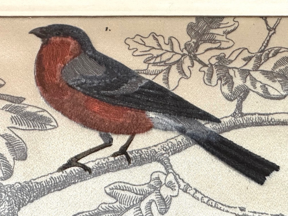 Pair of French Bird Pictures on Silk View VII