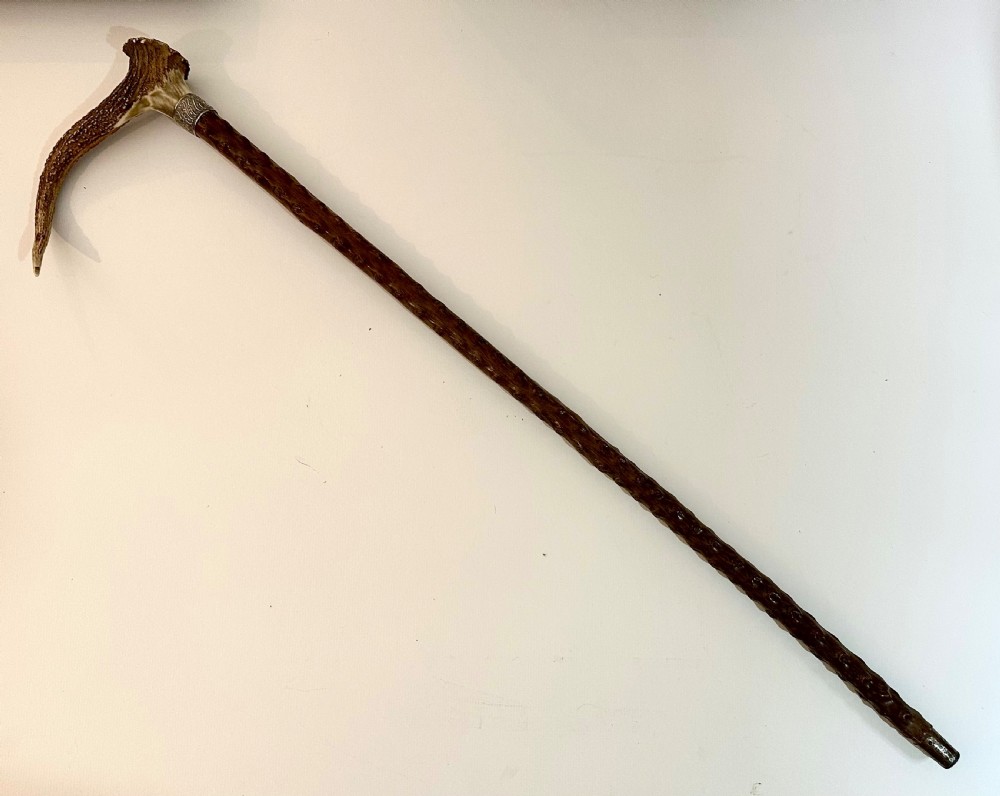 Briar Walking Stick with Stag Horn Handle