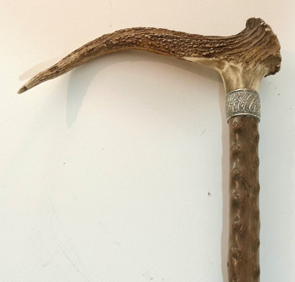 Briar Walking Stick with Stag Horn Handle View II
