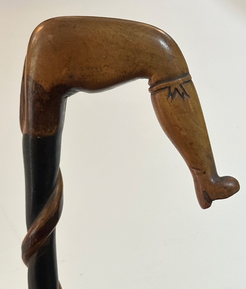 Walking Stick in Beechwood View II