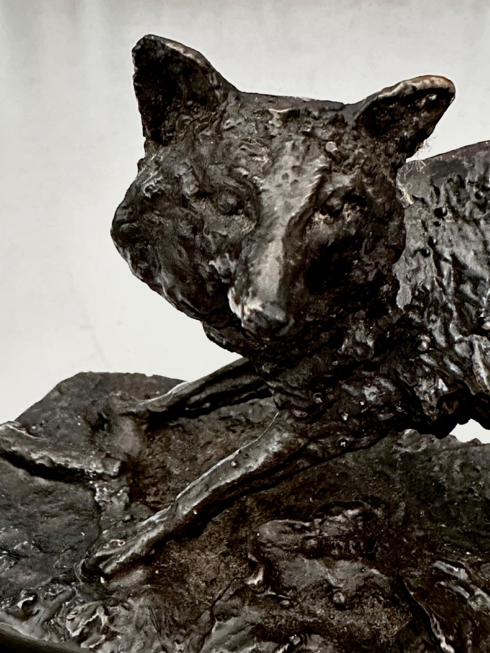 Bronze of Fox by Pierre Jules Mene. (1810-1879) View IV