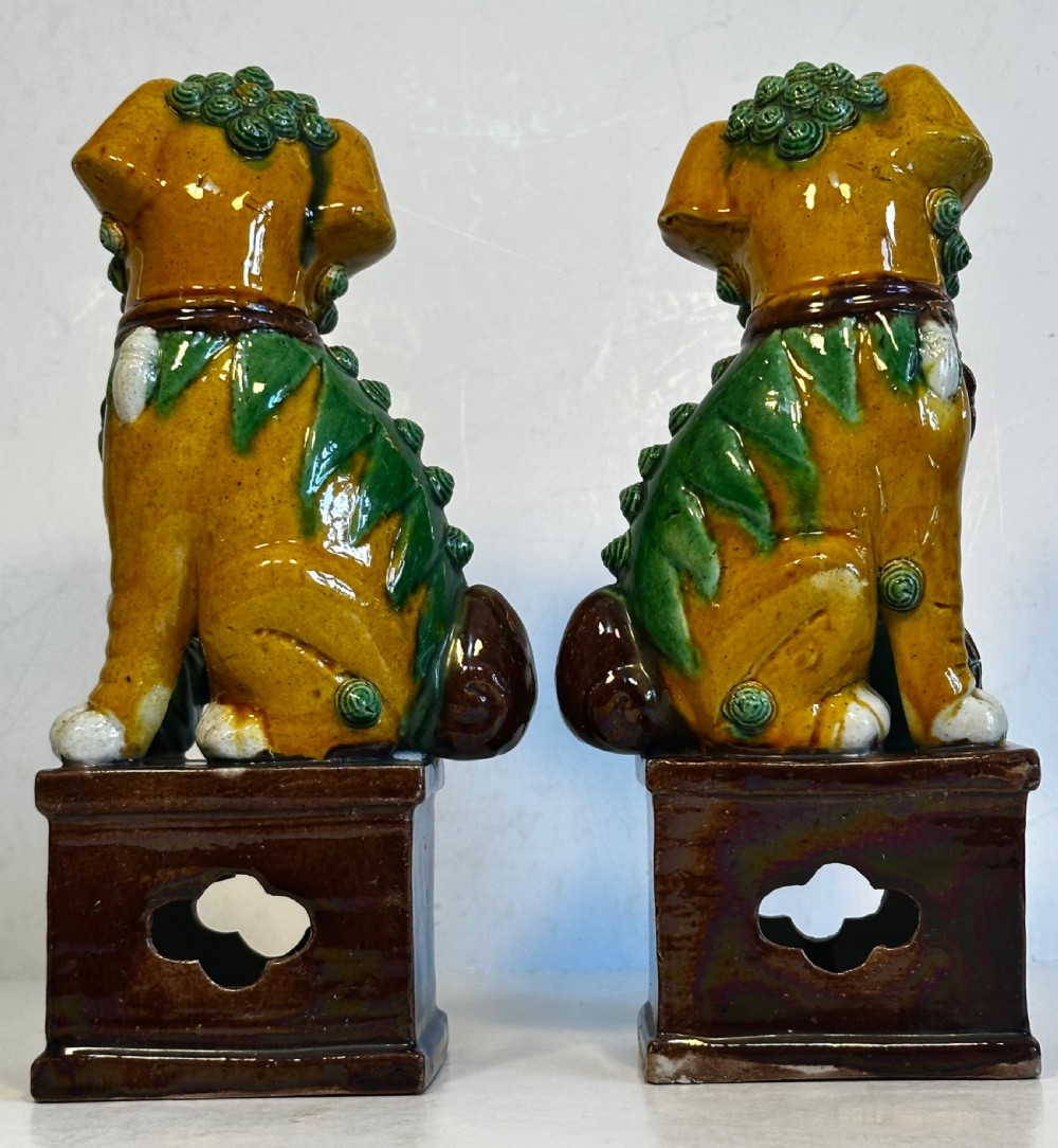 Pair of Chinese Buddhist Temple Lions. View V