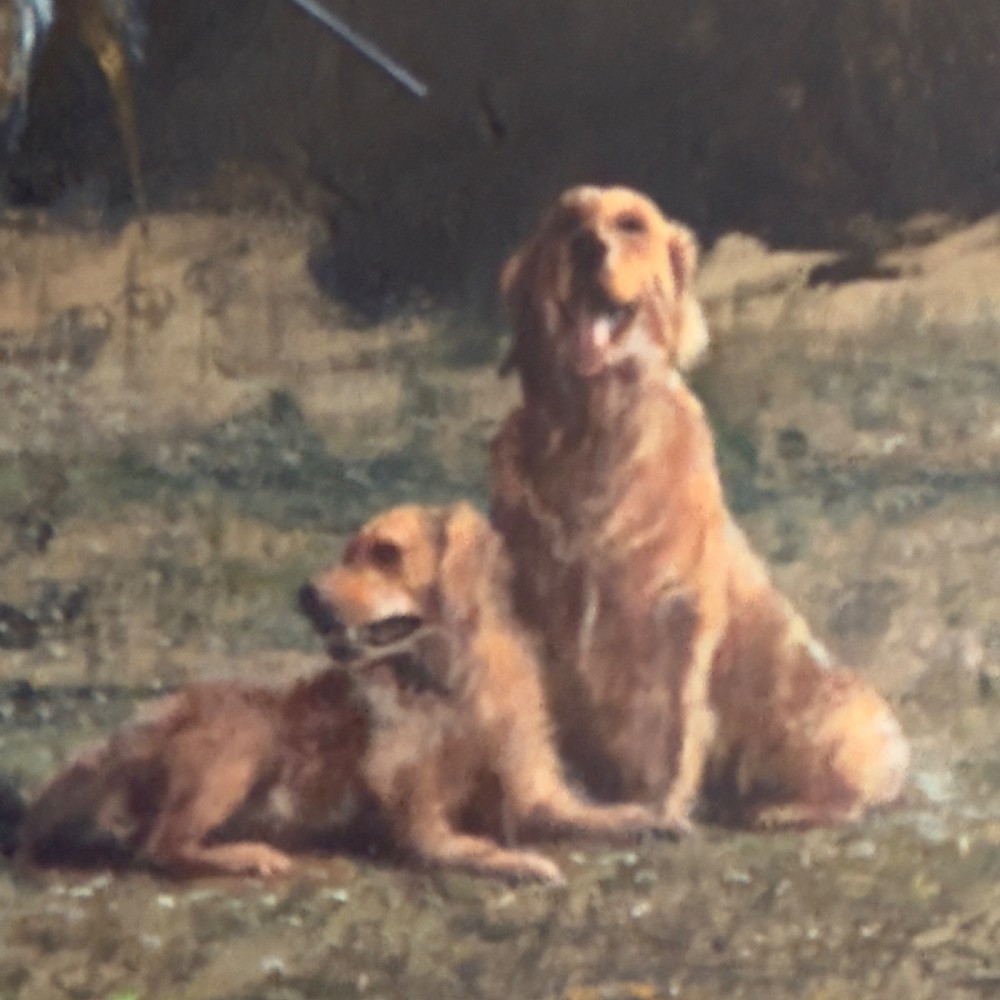 Clive Madgwick Oil on Canvas 