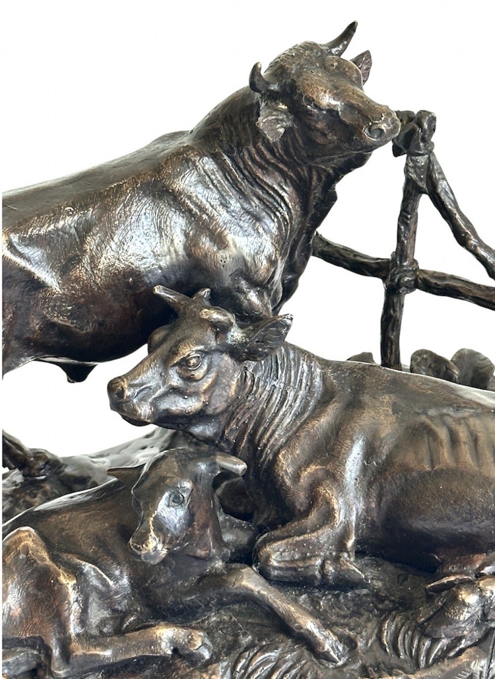 Bronze Cattle Family after Jules Moigniez (1835 1894) View V
