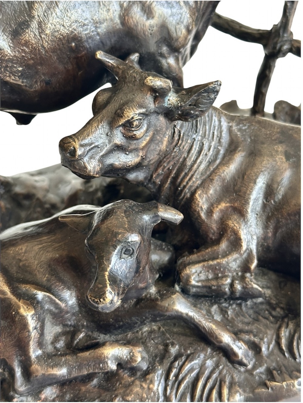 Bronze Cattle Family after Jules Moigniez (1835 1894) View X