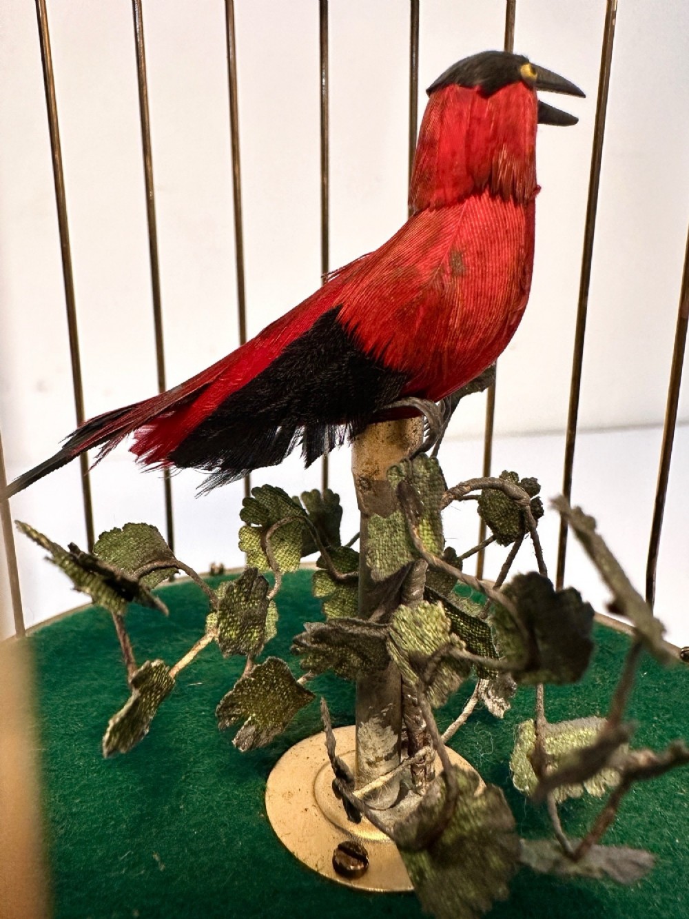 Swiss Singing Bird in Cage with Head, Beak and Tail movement. View II