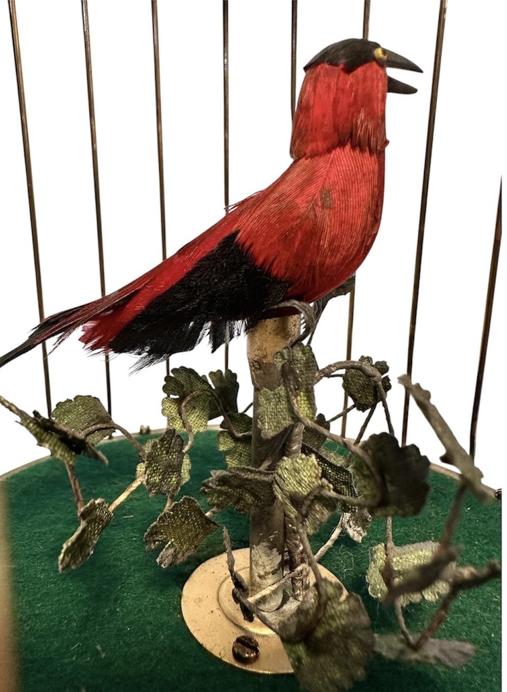 Swiss Singing Bird in Cage with Head, Beak and Tail movement. View VI