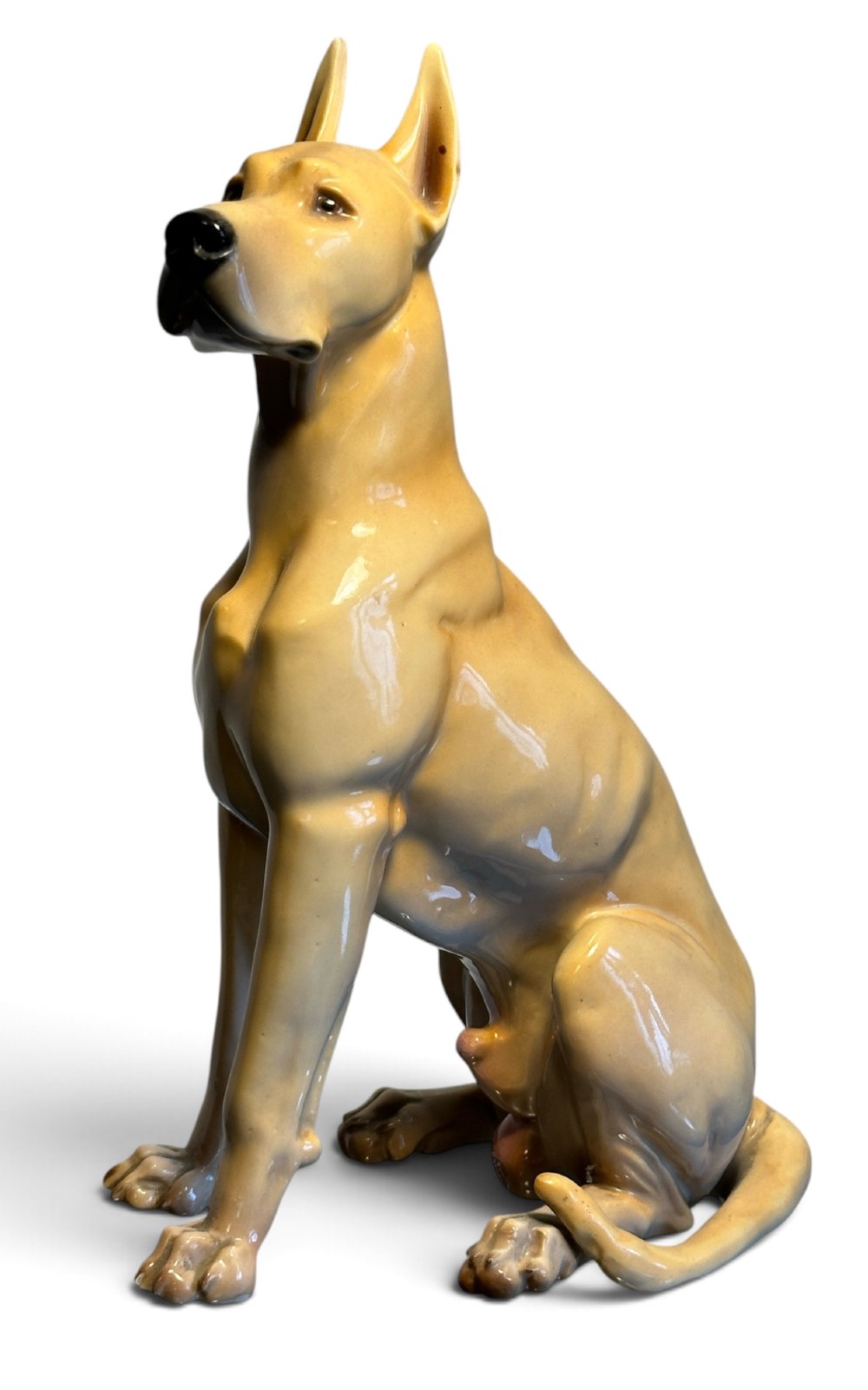 A glazed fawn-coloured Nymphenburg porcelain figurine depicting a seated Great Dane with erect ears and a black muzzle.
