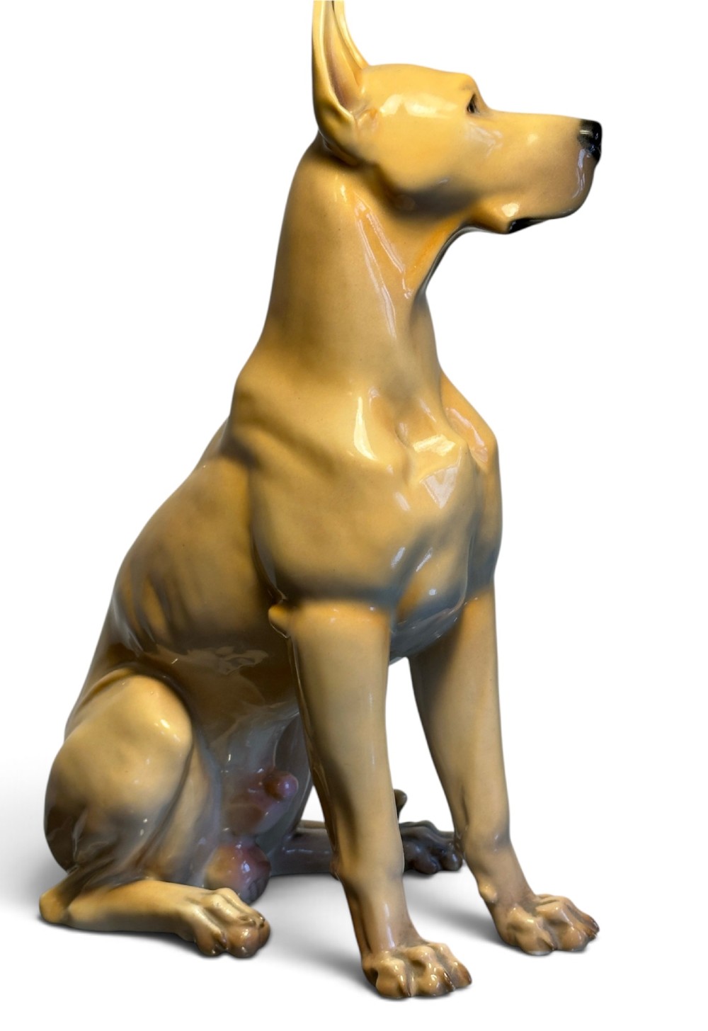 A glazed fawn-coloured Nymphenburg porcelain figurine depicting a seated Great Dane with erect ears and a black muzzle. View II