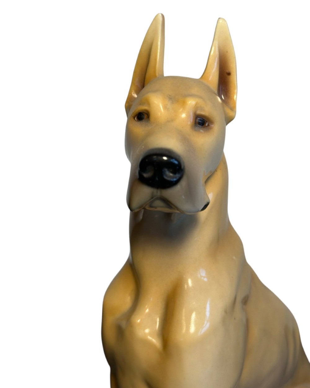 A glazed fawn-coloured Nymphenburg porcelain figurine depicting a seated Great Dane with erect ears and a black muzzle. View IV