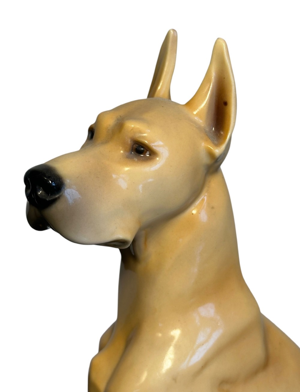 A glazed fawn-coloured Nymphenburg porcelain figurine depicting a seated Great Dane with erect ears and a black muzzle. View V