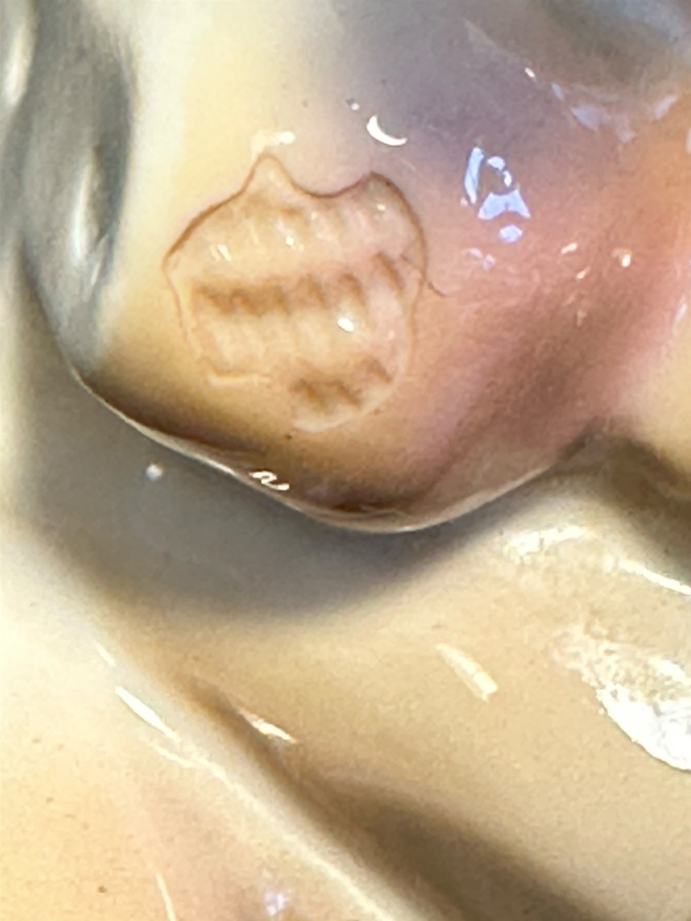 A glazed fawn-coloured Nymphenburg porcelain figurine depicting a seated Great Dane with erect ears and a black muzzle. View IX