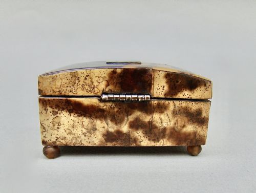 fig 1. EARLY VICTORIAN TORTOISESHELL NEEDLE CASE, CIRCA 1840