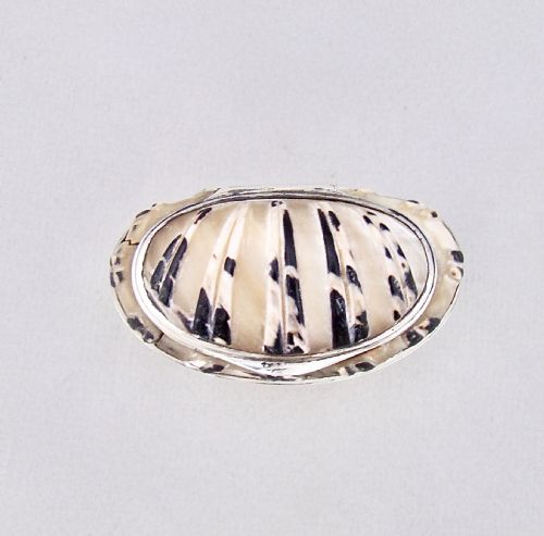 fig 2. UNUSUAL GEORGIAN SILVER MOUNTED SHELL SNUFF BOX, CIRCA 1790