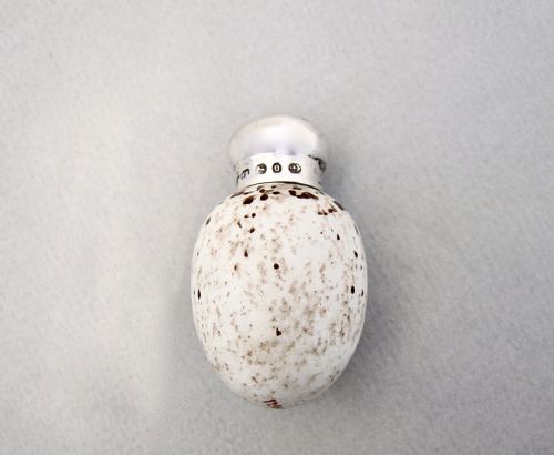 fig 1. RARE VICTORIAN SILVER & PORCELAIN SPECKLED EGG SCENT BOTTLE BY SAUNDERS & SHEPHERD, BIRMINGHAM  1888