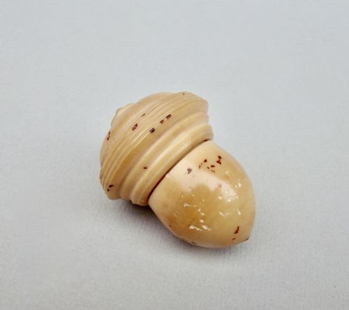 Delightful 19th Century Carved Vegetable Ivory "Acorn" Needle Case, Circa 1860