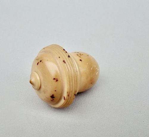 fig 1. DELIGHTFUL 19TH CENTURY CARVED VEGETABLE IVORY